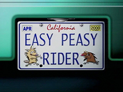 Easy Peasy Rider